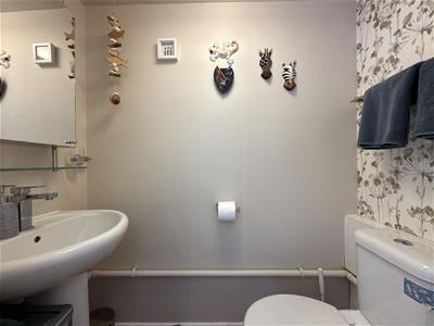 Picture 15